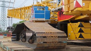 HÜFFERMANN LIEBHERR LTM 125051 beim Aufbau einer PEINEMANN LR 16002 [upl. by Mirabel]