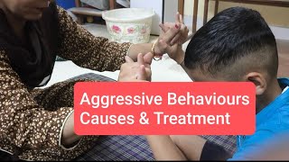 Hyperactivity Aggressive Behaviours in Adhd  Cause and Treatment [upl. by Ydroj]