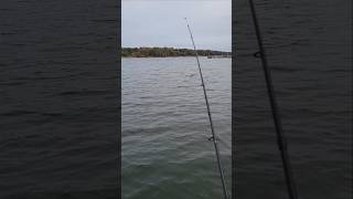 Trolling for Bass on Lake Lanier in November [upl. by Zennie]