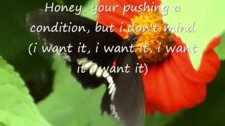 Jamiroquai  Butterfly lyrics video [upl. by Agnes962]