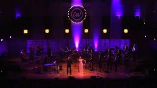 Christoph Walter Orchestra – Disco Medley – LIVE [upl. by Alek]