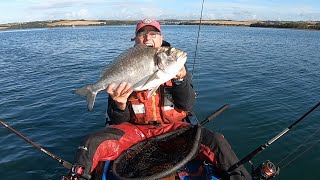 GILTHEAD BREAM FISHING  FISH OF A LIFETIME [upl. by Aiyn509]