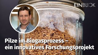 DBFZ Einblick Pilze im Biogasprozess – ein innovatives Forschungsprojekt [upl. by Wolbrom]