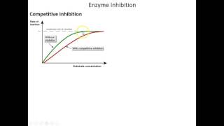 Lecture 5C  Enzyme Inhibition [upl. by Tabib]