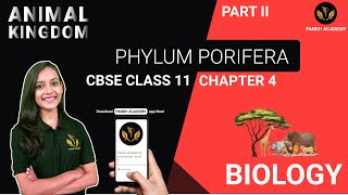 PHYLUM PORIFERA  Animal Kingdom  Class 11 Biology Chapter 4  Pankh Academy  Part 2 [upl. by Ahseket43]