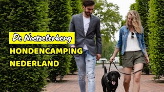 Hondencamping Nederland Noetselerberg [upl. by Mariken]