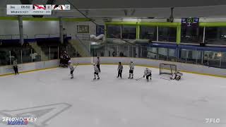 Port Alberni bombers 4 Victoria cougars 2 [upl. by Metsky801]