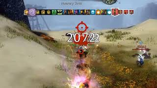 GW2 WvW The Reality of Roaming  UNCUT Vol 2 [upl. by Ing]