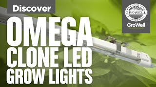 Picking LED Propagation Lighting  Omega 18W Clone LED Grow Light  Discover [upl. by Airtemed]