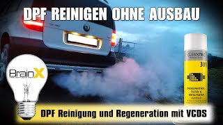 DPF reinigen ohne Ausbau  CLEANTEC Dieselpartikelfilter Reiniger Spray [upl. by Hoppe]