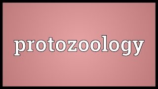 Protozoology Meaning [upl. by Berne]