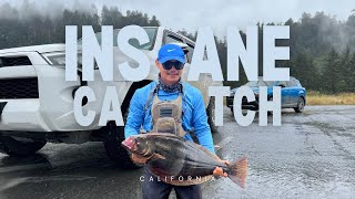 INSANE CATCH WHILE SURF FISHING [upl. by Trisha]