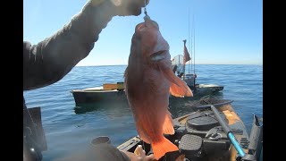 Puddingstone Lake amp Newport Beach Rock Fishing [upl. by Liek187]