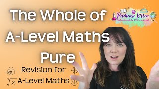 The Whole of A Level Maths  Pure  Revision for AQA Edexcel OCR AND WJEC [upl. by Haletta]