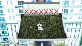 Fresh Patch Disposable Dog Potty with Real Grass [upl. by Arimat70]