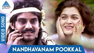 Nandhavanam Pookkal Song  Captain Magal Movie  Raja  Kushboo  Hamsalekha  Pyramid Glitz Music [upl. by Essilec]