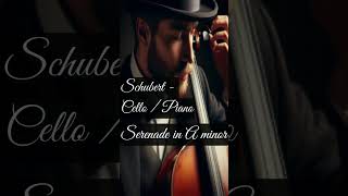 SCHUBERT  SERENADE IN A MINOR [upl. by Hills703]