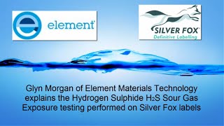 Element Materials Technology  Hydrogen Sulphide H2S Sour Gas Exposure Testing [upl. by Ciccia646]