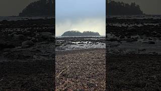 Ozette Triangle Coastal Trail  Clallam Bay Washington Peninsula 5 [upl. by Martres]