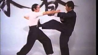 Wing Chun  The Science of InFighting Wong Shun Leung LEGENDADO [upl. by Harrus]