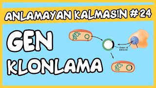 Anlamayan Kalmasın 24 Gen Klonlama [upl. by Durer]