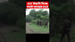 BSF vs BGB at India Bangladesh Border [upl. by Htebharas]