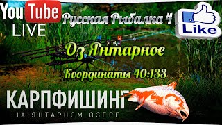 Русская рыбалка 4 оз Янтарное Карповое место [upl. by Aynom145]