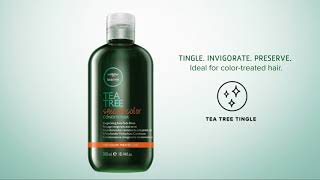 Paul Mitchell Tea Tree Special Color Shampoo amp Conditioner [upl. by Ewald]