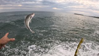 Mulloway fishing off the rocks using Barambah jig heads [upl. by Haikezeh886]