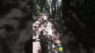 Bike Park  mtb bike downhill bikeride shape [upl. by Rokach]