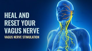 Vagus Nerve Reset To Release Trauma Stored In The Body  Parasympathetic Nervous system Stimulation [upl. by Pangaro]