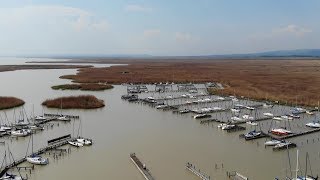 Die Region Neusiedlersee im Frühling  Bergauf Bericht [upl. by Anerak]