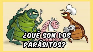 La clasificación de los parásitos  parásitos [upl. by Fay]