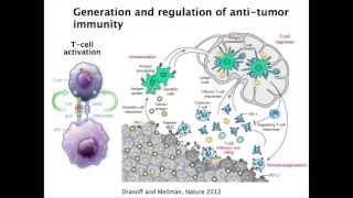 Immunotherapy  PD1 and Beyond  Melanoma Education Symposium Patrick Ott MD PhD [upl. by Mosira]