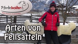 Arten von Fellsätteln  Das solltest du wissen [upl. by Harvison]