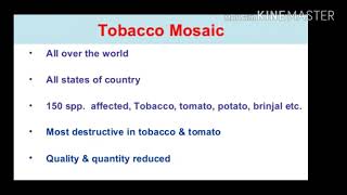 tobacco mosaic virus expalined pathology part [upl. by Siraf]