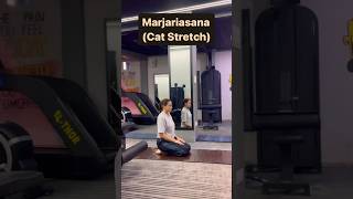 MarjariasanaBest Asana For hormonal imbalanceyogayogalifeyogamusictrendingshortsviralhealth [upl. by Hayidah]