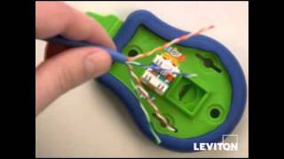 How to Use a Jack Rapid Tool for Leviton Connectors [upl. by Hseyaj945]