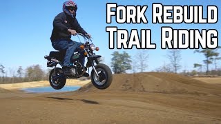 Honda Trail 70 a Real Trail Bike  Fork Rebuild [upl. by Llennej]