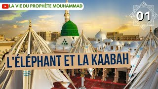 01 La vie du Prophète MouHammad  Lannée de léléphant  sourate alfîl [upl. by Vento183]