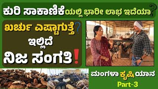 Sheep Farming Business ಉಚಿತ ಕುರಿ ಸಾಕಾಣಿಕಾ ತರಬೇತಿ  ಹೊಸಬರಿಗೆ ಅನುಭವೀ ರೈತ ಮಹಿಳೆಯ ಕಿವಿಮಾತೇನು Part3 [upl. by Aduhey34]