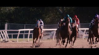 Secretariat Saratoga Race 720p English [upl. by Aicelf]