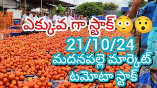 211024 Madanapalle Tomato Market price Today  Today Tomato Market Rate in Madanapalle today [upl. by Anairam449]