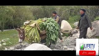 Qazan valley of Bamyan [upl. by Merriott]