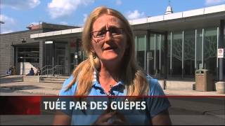 Piqûres de guêpes  la Dr Johanne Blais fait le point [upl. by Boyden]