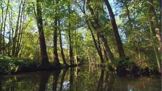 Mit Kanu und Kahn durch den Spreewald [upl. by Perr]