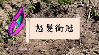 25 怒鬉衝冠 ︳成語故事 粵語 廣東話 繁體 愛中文 愛中國文化 [upl. by Ordnas]