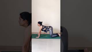 Marjariasana Cat pose theyogawayz yoga Tanujapandeys0506 trending [upl. by Rodman182]