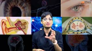 Neural Control and Coordination  Biology  Class 11  NEET  AIIMS  askIITians [upl. by Sundberg824]