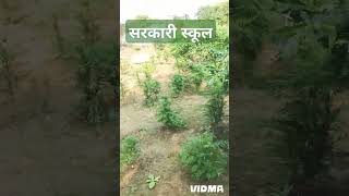 सरकारी स्कूल की बागवानी UPS Neori Jalalpuramauli fatehpur [upl. by Riggins468]